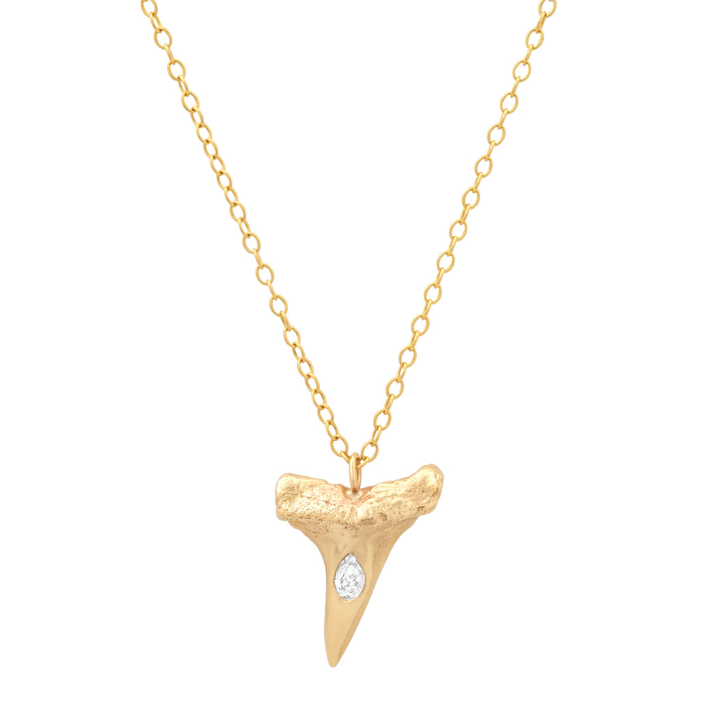 Small Mako Tooth Necklace