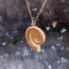 Diamond Ammonite Necklace