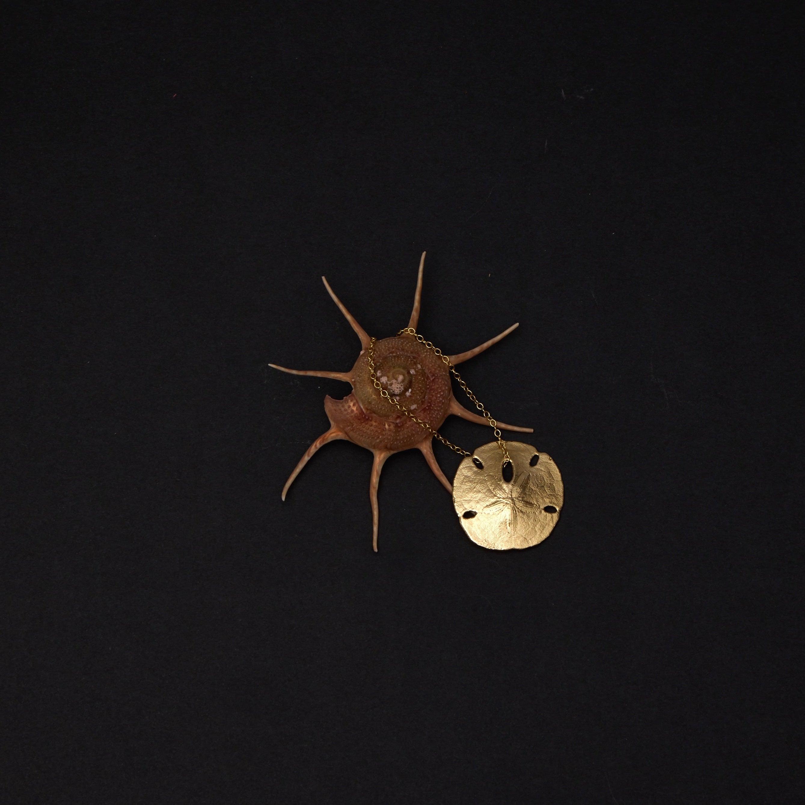 A small decorative object featuring a brown star-like central piece with thin radiating points and a separate round pale gold disc attached by a chain, photographed against a solid black background.