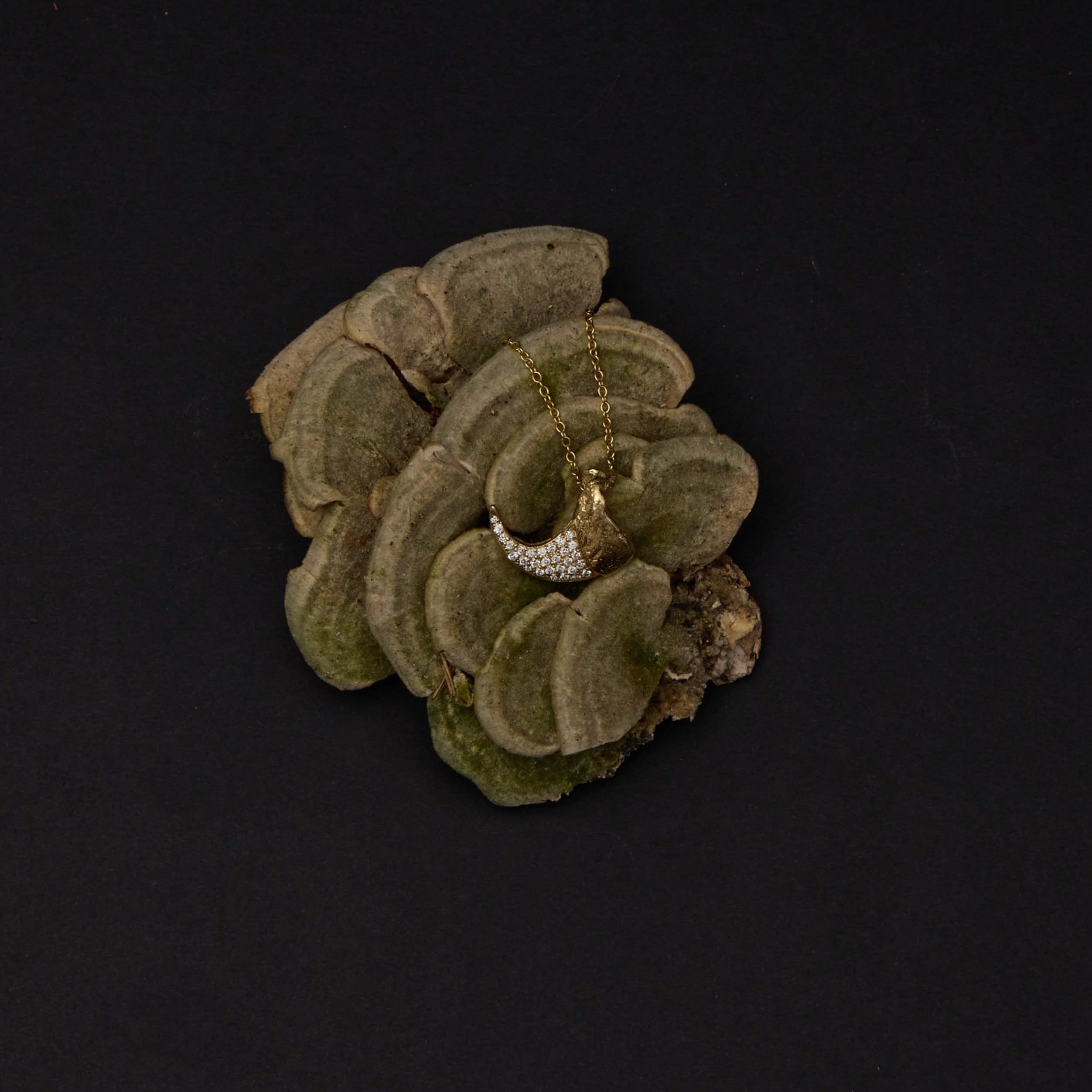 Jewelry against prop and dark background
