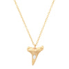 Small Mako Tooth Necklace