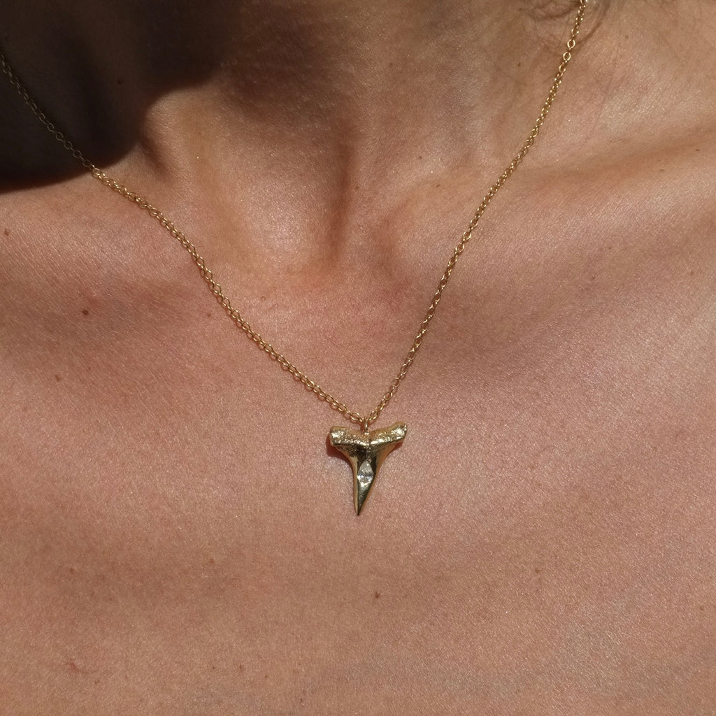 Small Mako Tooth Necklace