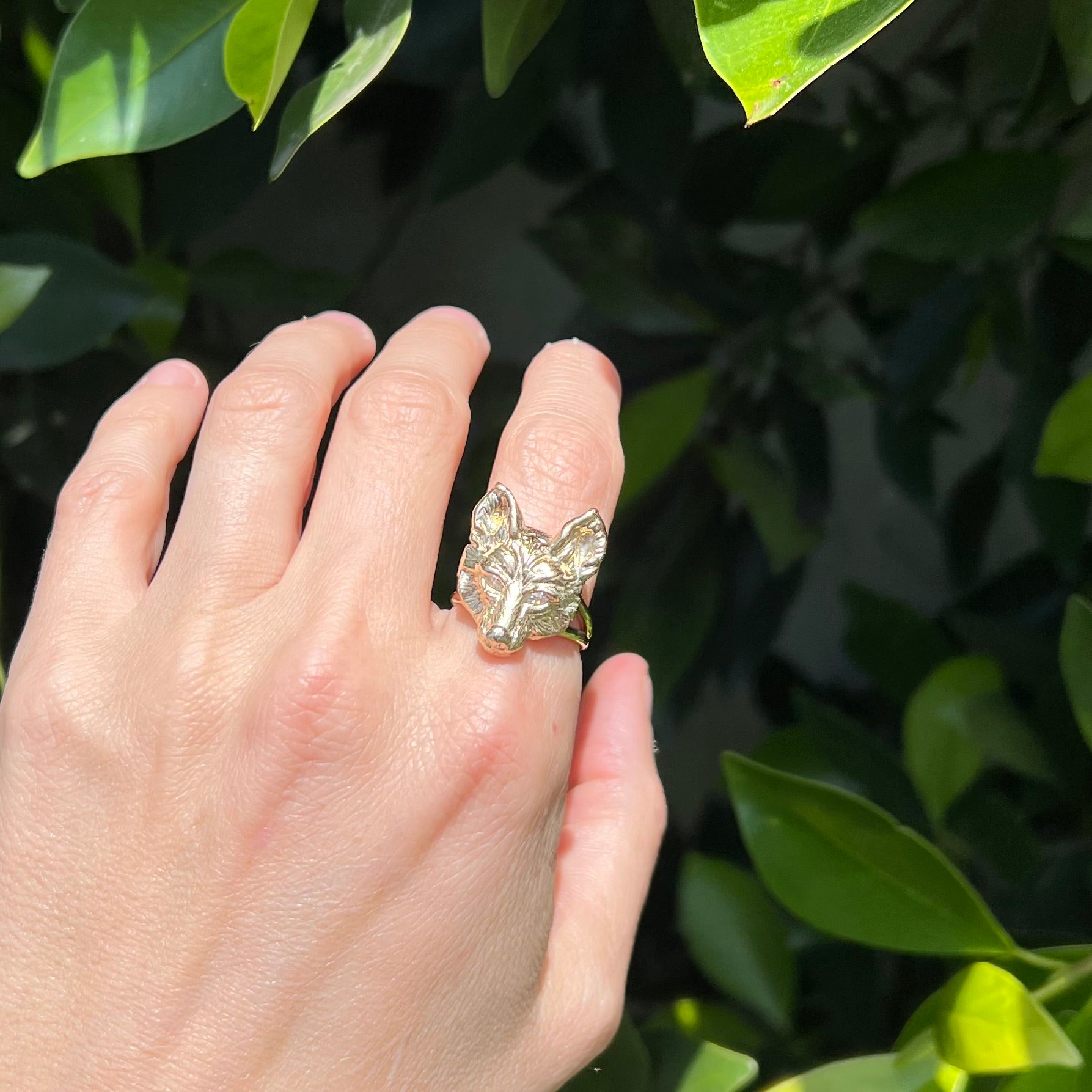 Wolf Ring – Elisabeth Bell - Main Image