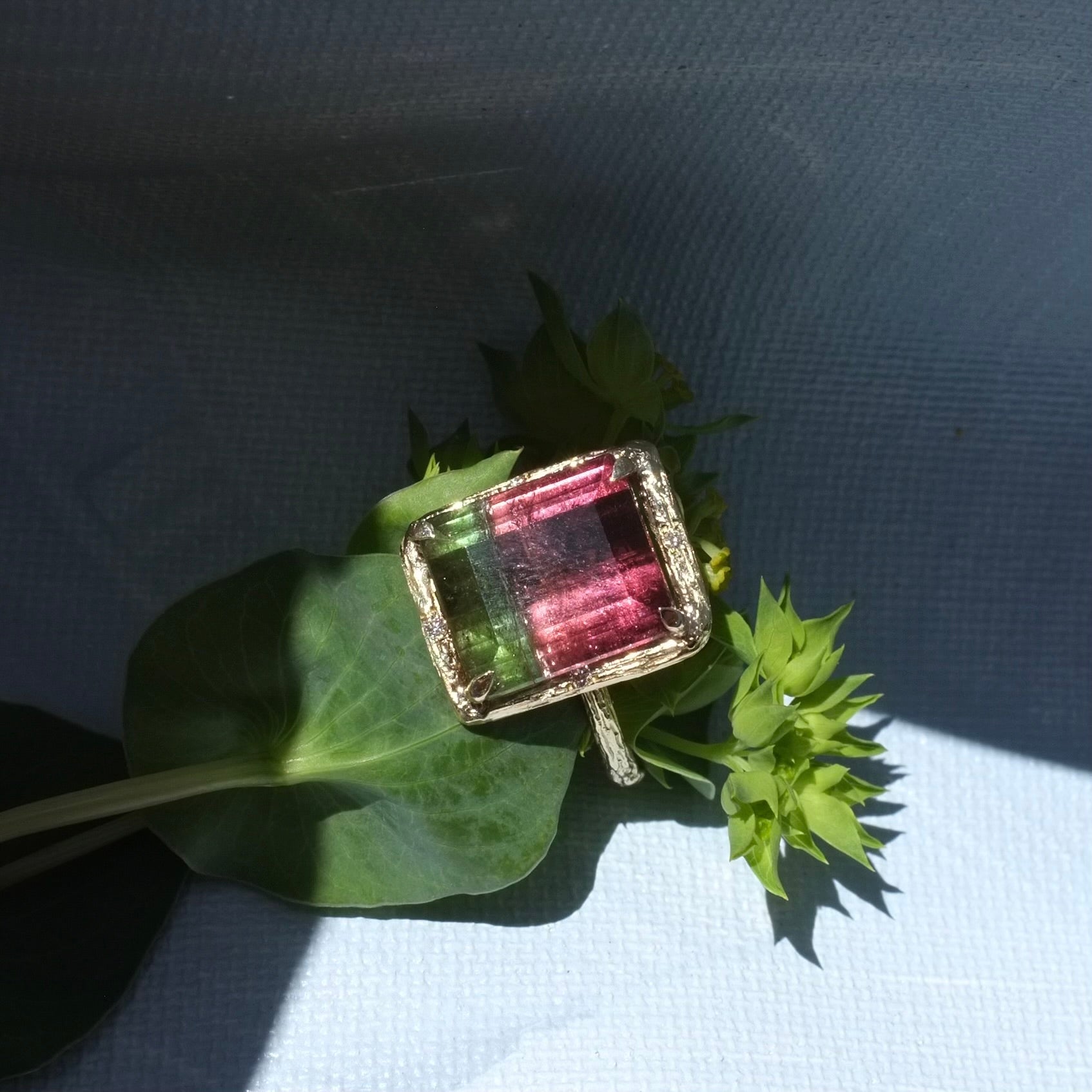Slide image