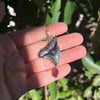 Ancient Shark Tooth Necklace