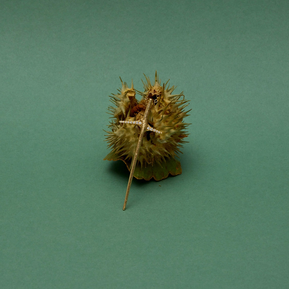 A small spiky brown botanical object with a long thin stem, photographed alone on a smooth teal-green background.