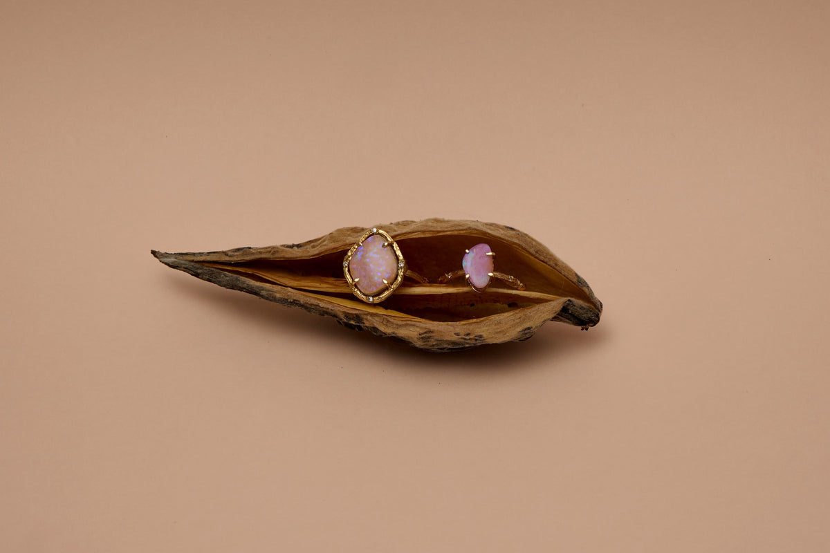 Two gold rings with oval pinkish-purple stones displayed inside an open dried seed pod on a solid beige background.