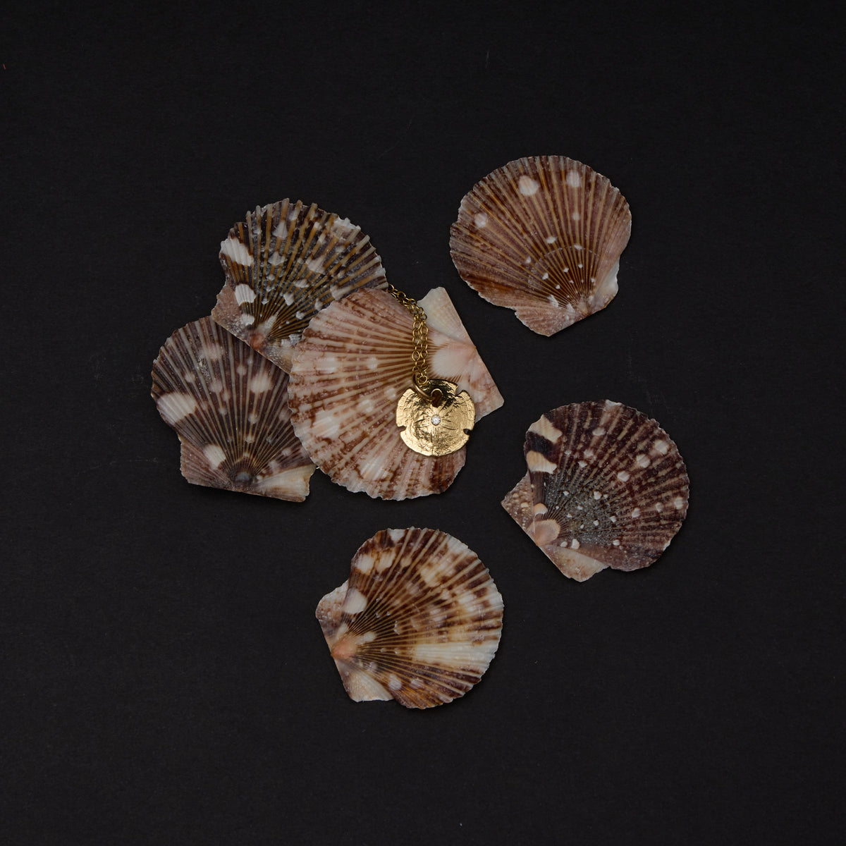 yellow gold necklace with seashells on dark background
