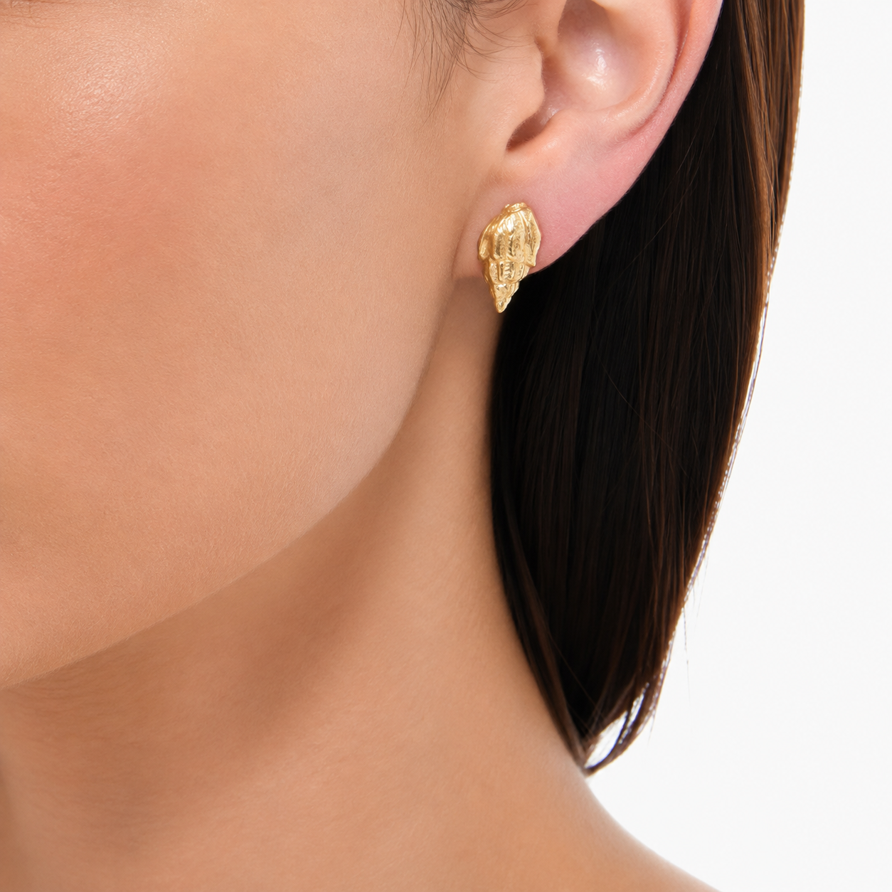 Nassa Shell Studs