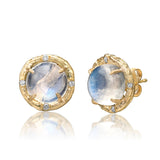 Moonstone willow branch diamond earrings handcrafted in 14k yellow gold by Elisabeth Bell Jewelry.