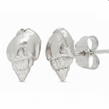 Nassa Shell Studs