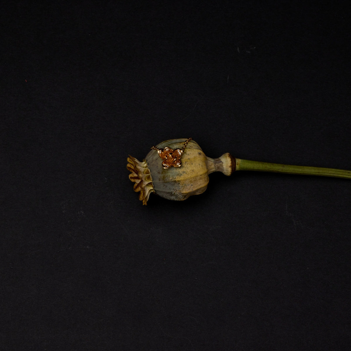 Gold flower necklace laying on top of greenery