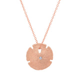 Small Sand Dollar