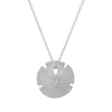 Small Sand Dollar