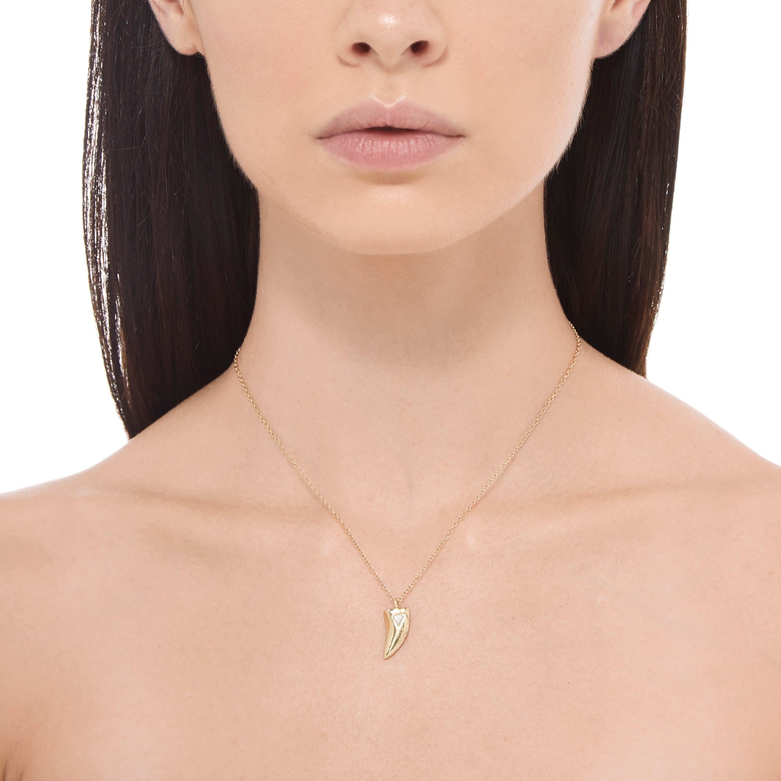 Velociraptor Tooth Necklace
