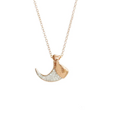 Bobcat Claw Necklace