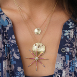 Small Sand Dollar