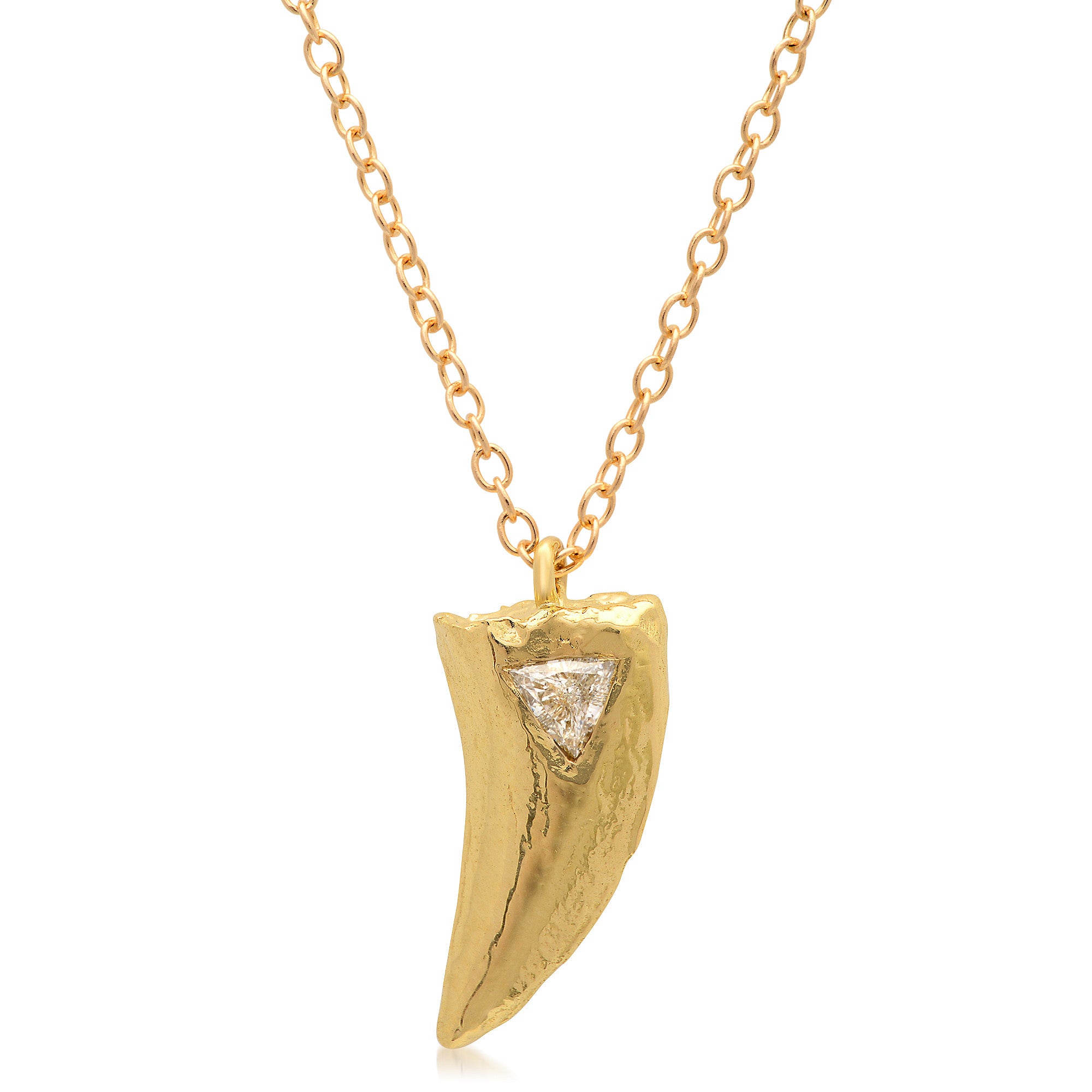 T-Rex Dinosaur Bone Silver Necklace // Cretaceous Period // 68-66 Million  Years Old - Muzeion - Touch of Modern