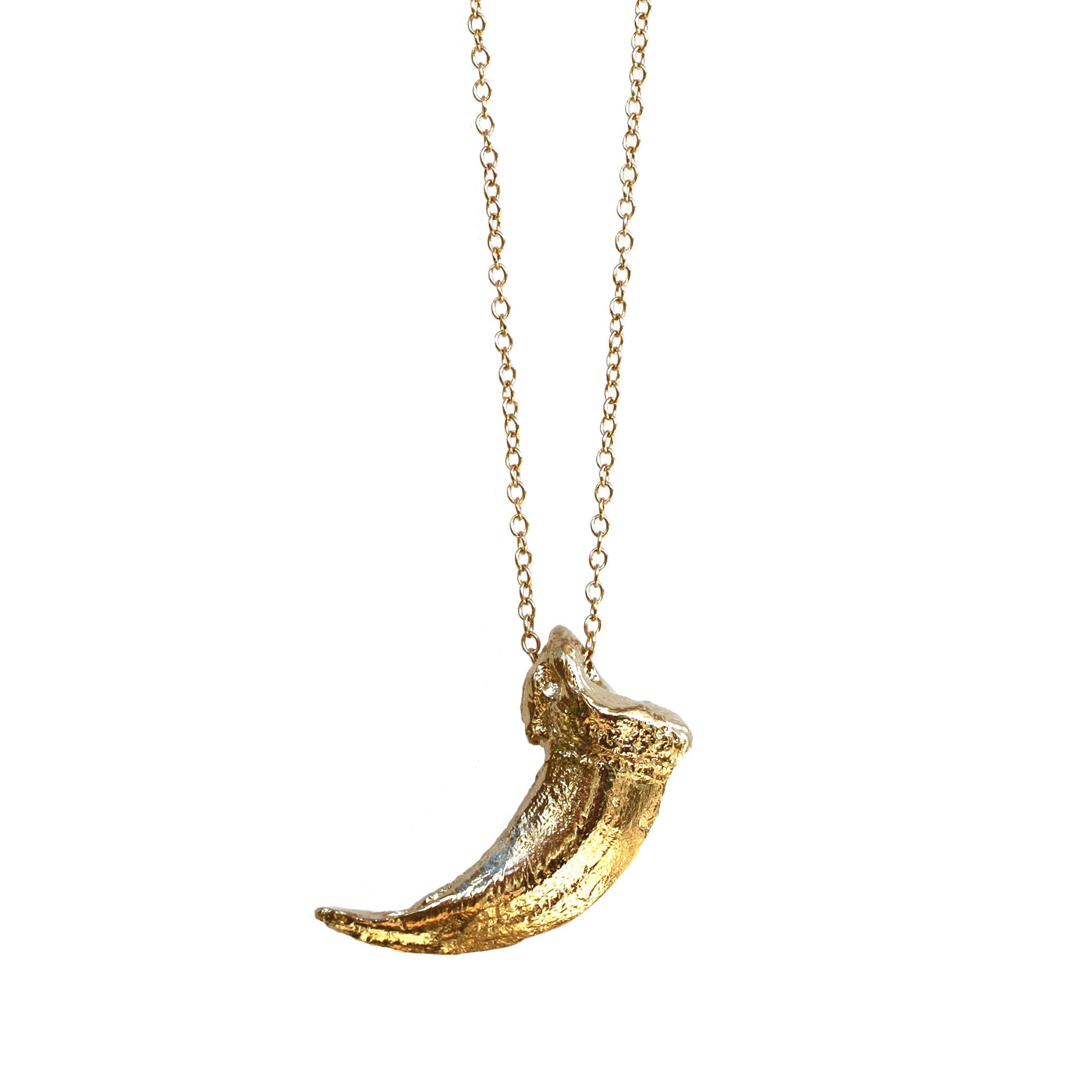Wolf Claw Necklace – Elisabeth Bell